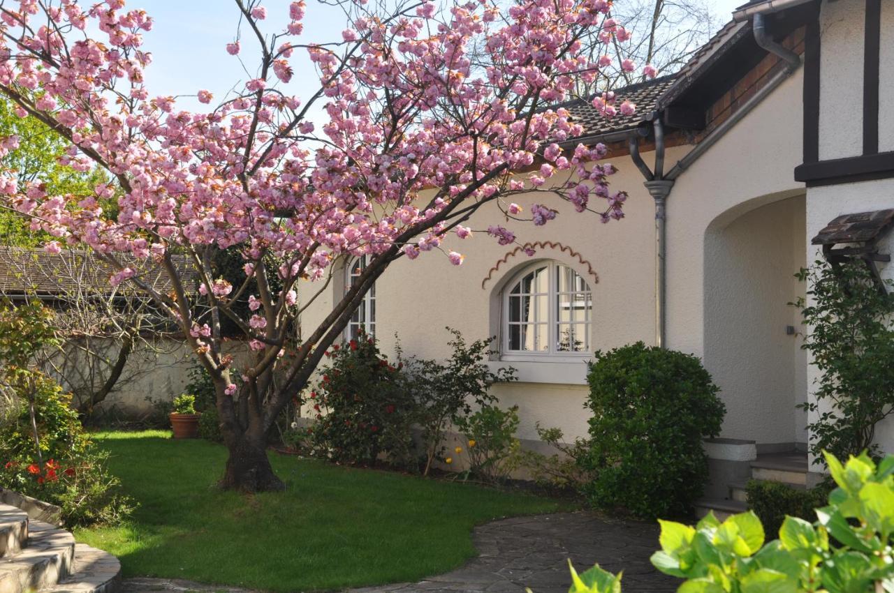 Maison D'Hotes Paris Riverside Saint-Maur-des-Fossés Esterno foto